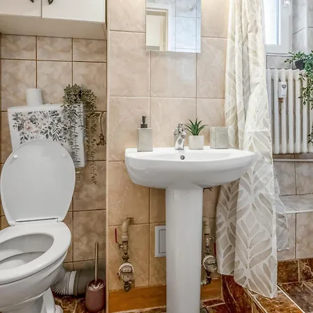 Muse On Victoriei 公寓