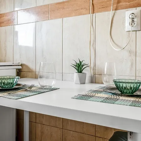 Muse On Victoriei 公寓 *