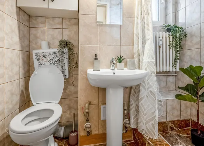 Muse On Victoriei Apartament