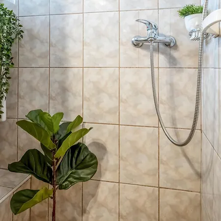 Muse On Victoriei *